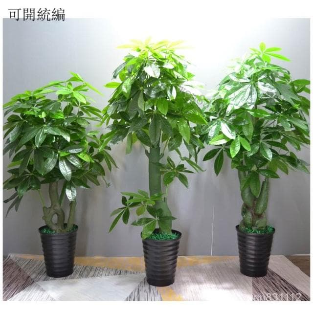 ★限時免郵 工廠直銷★假樹 綠植 髮財樹 仿真植物 大型落地盆栽 造景塑料裝飾 假花 仿真客廳室內擺件 假植物落地裝飾植