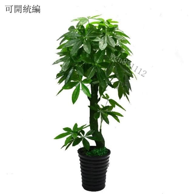 ★限時免郵 工廠直銷★假樹 綠植 髮財樹 仿真植物 大型落地盆栽 造景塑料裝飾 假花 仿真客廳室內擺件 假植物落地裝飾植