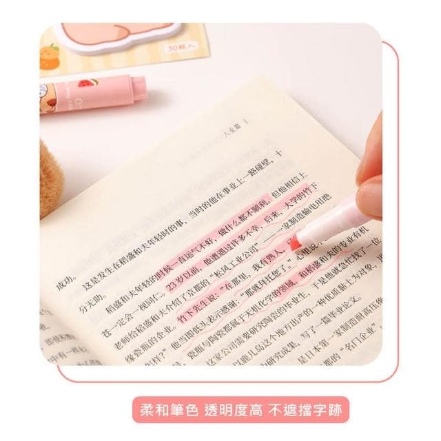 【D+ 滴家】卡皮巴拉螢光筆 水豚君彩筆 斜頭記號筆(6支裝) 水豚君螢光筆 彩筆 彩色筆 彩繪筆 記號筆 馬克筆 畢業禮物