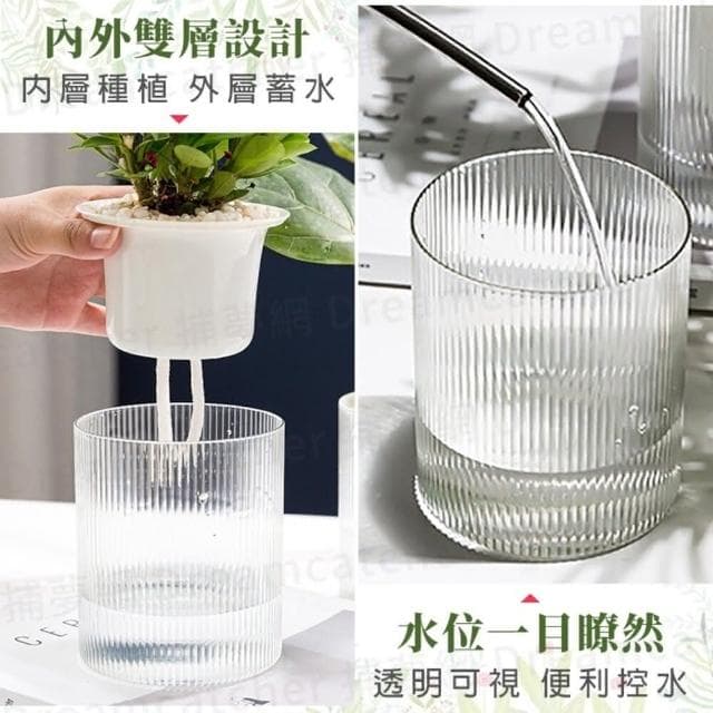 【捕夢網】懶人花盆👑(高質量 自動吸水 吸水花盆 水培花盆 懶人盆栽 花盆 盆栽 水耕盆 植物花盆 水耕 透明花盆)