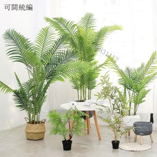 特價免運 極速出貨 仿真植物 散尾葵 北歐風裝飾 客廳落地大型盆栽 室內盆景 擺件 假綠植 園藝裝飾