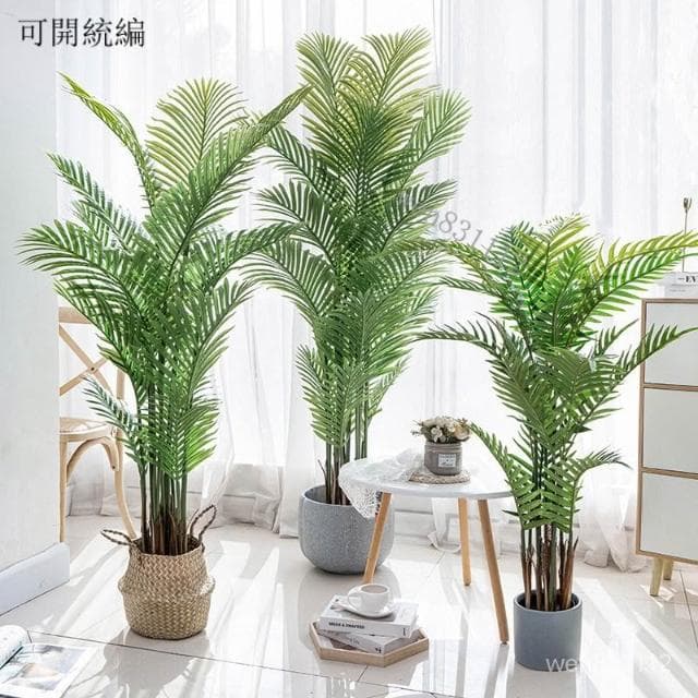 特價免運 極速出貨 仿真植物 散尾葵 北歐風裝飾 客廳落地大型盆栽 室內盆景 擺件 假綠植 園藝裝飾