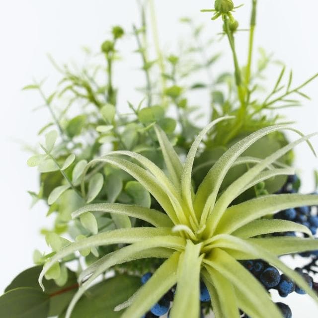 【HUGO DECO 榆果傢飾】空氣鳳梨藍莓果香氛植栽擬真植栽/香氛/多肉植物/節慶送禮