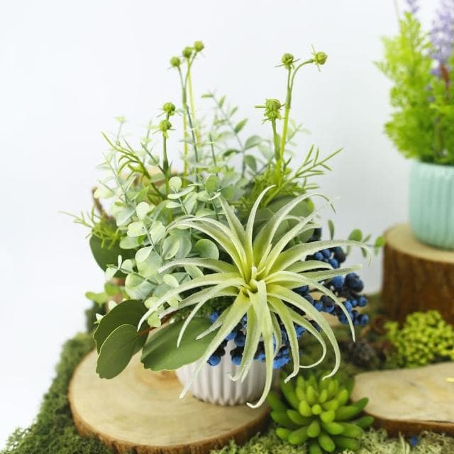 【HUGO DECO 榆果傢飾】空氣鳳梨藍莓果香氛植栽擬真植栽/香氛/多肉植物/節慶送禮
