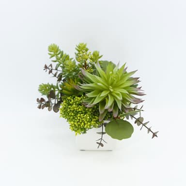 【HUGO DECO 榆果傢飾】松眸玉蓮香氛植栽擬真植栽/香氛/多肉植物/節慶送禮