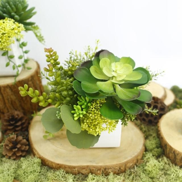 【HUGO DECO 榆果傢飾】寶石蓮沙漠丁香香氛植栽擬真植栽/香氛/多肉植物/節慶送禮