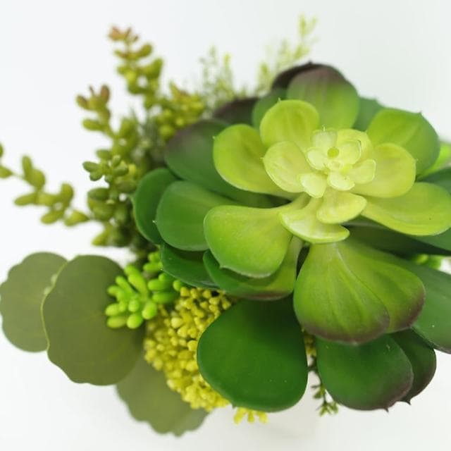 【HUGO DECO 榆果傢飾】寶石蓮沙漠丁香香氛植栽擬真植栽/香氛/多肉植物/節慶送禮