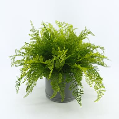 【HUGO DECO 榆果傢飾】波斯頓蕨皮革籃植栽擬真植栽/多肉植物/節慶送禮
