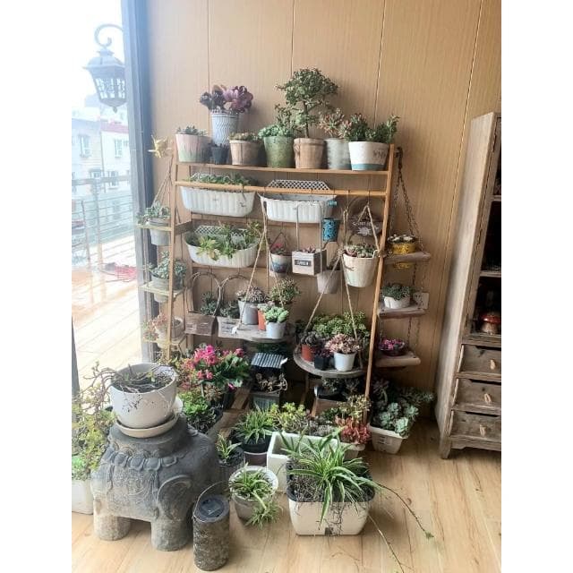 梯形花架置物架陽臺落地式多層爬藤架現代簡約綠蘿吊籃多功能戶外 多層花架 花盆 花架 花架 實木花架盆栽架 多肉植物架