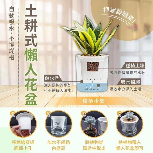 【178小舖】懶人花盆 2入 (吸水花盆 透明花盆 水培花盆 懶人盆栽 花盆 盆栽 塑膠花盆 塑膠盆 水耕植物 水耕盆栽 水耕)