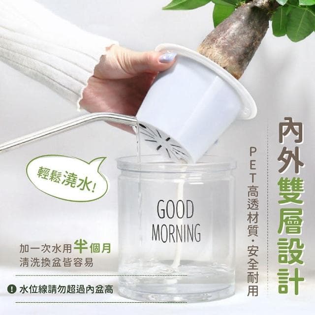 【178小舖】懶人花盆 2入 (吸水花盆 透明花盆 水培花盆 懶人盆栽 花盆 盆栽 塑膠花盆 塑膠盆 水耕植物 水耕盆栽 水耕)