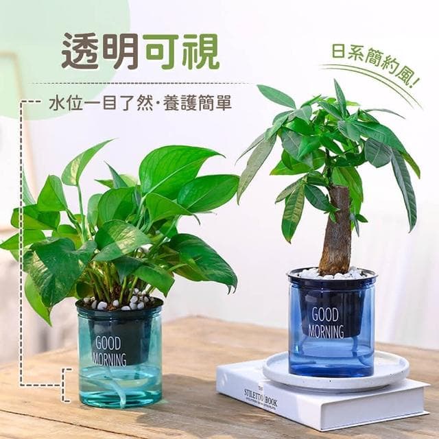 【178小舖】懶人花盆 2入 (吸水花盆 透明花盆 水培花盆 懶人盆栽 花盆 盆栽 塑膠花盆 塑膠盆 水耕植物 水耕盆栽 水耕)