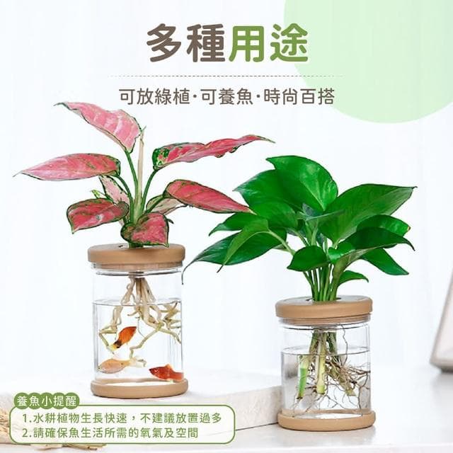 【178小舖】懶人花盆 2入 (吸水花盆 透明花盆 水培花盆 懶人盆栽 花盆 盆栽 塑膠花盆 塑膠盆 水耕植物 水耕盆栽 水耕)