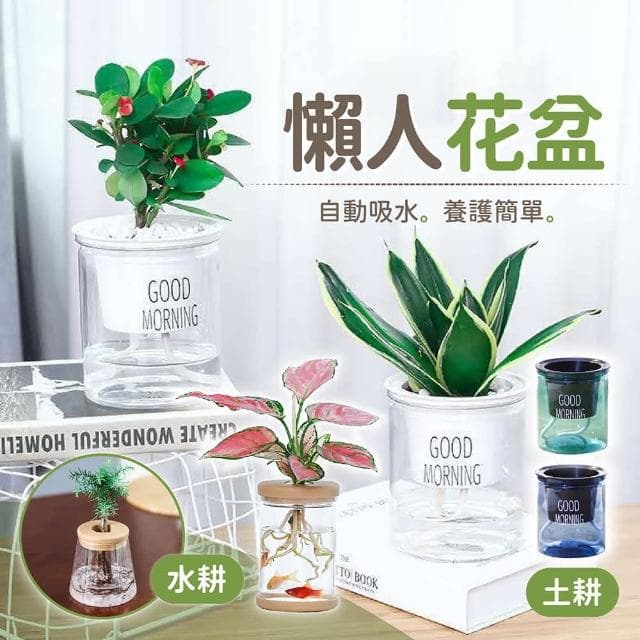 【178小舖】懶人花盆 2入 (吸水花盆 透明花盆 水培花盆 懶人盆栽 花盆 盆栽 塑膠花盆 塑膠盆 水耕植物 水耕盆栽 水耕)