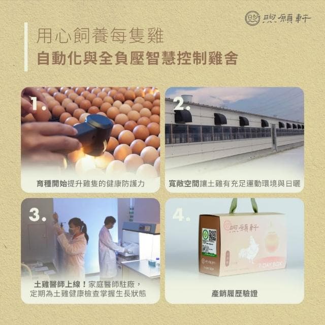 煦願軒淬浦雞常溫9日禮盒組(原味滴雞精+臺灣野厥小陶杯)60mlx9包/母親節送禮/增強元氣/暖身最佳推薦/古法陶甕蒸煉/包證不加一滴水/零脂肪高營養
