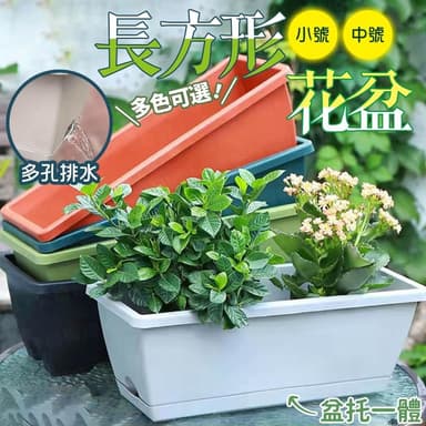 長方形花盆 長形盆花盆 盆托一體 種菜盆 盆栽容器 長花盆 控根盆 菜盆 花槽 霍倫盆 青山盆 植物花盆