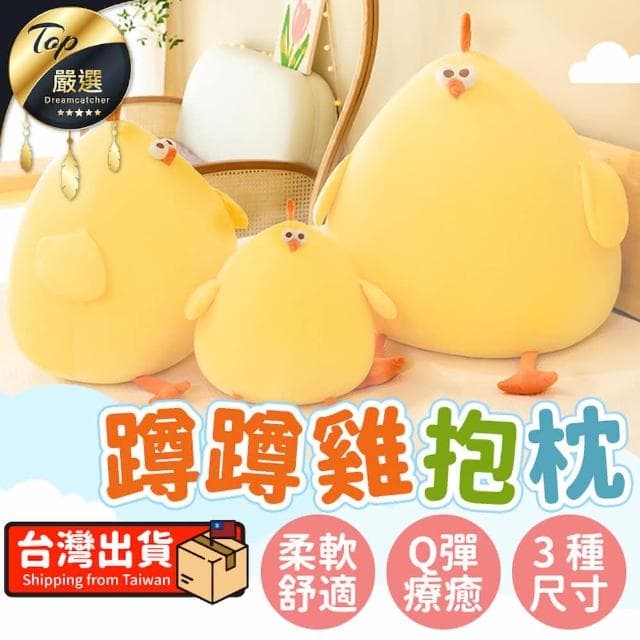 【捕夢網】超療癒💥蹲蹲雞 抱枕 雞娃娃 娃娃 玩偶 生日禮物 交換禮物