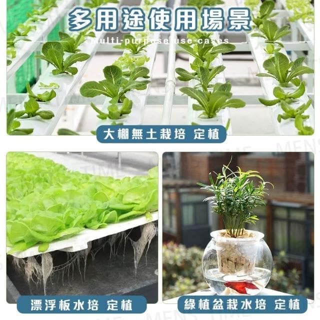 台灣現貨 ️魚菜共生 無土栽培 定植籃 水耕植物 定植盆 水培植物 水耕 水培花盆 水耕盆栽 定植棉 水培定植籃 定植