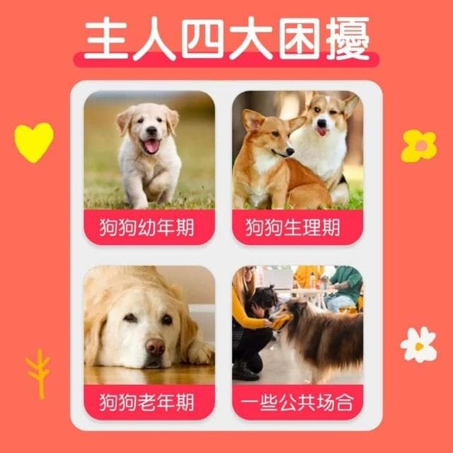 『寵物星樂園』犬用禮貌帶/生理褲  狗尿布 寵物尿布 狗紙尿褲 狗拋棄式尿布 狗尿布 尿布墊 寵物尿片 成人尿片