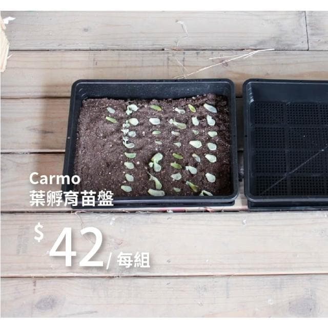 CARMO多肉葉孵育苗盤(贈底盤) 育苗｜葉孵｜葉孵盒｜花盆盆栽｜多肉植物｜園藝器具