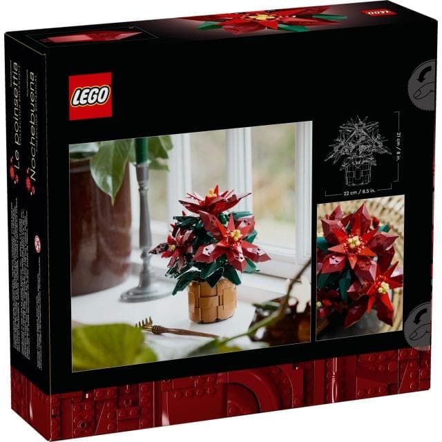 【LEGO 樂高】高雄天利鄭姐｜樂高 花藝 Botanicals 系列 10370 聖誕紅 禮物 居家擺設 聖誕節