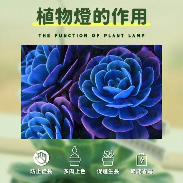 USB植物燈條 植物生長燈 植物日照燈 植物燈管 多肉燈 補光燈 夾燈 燈管 盆栽燈 紅藍燈 生長燈 水草燈