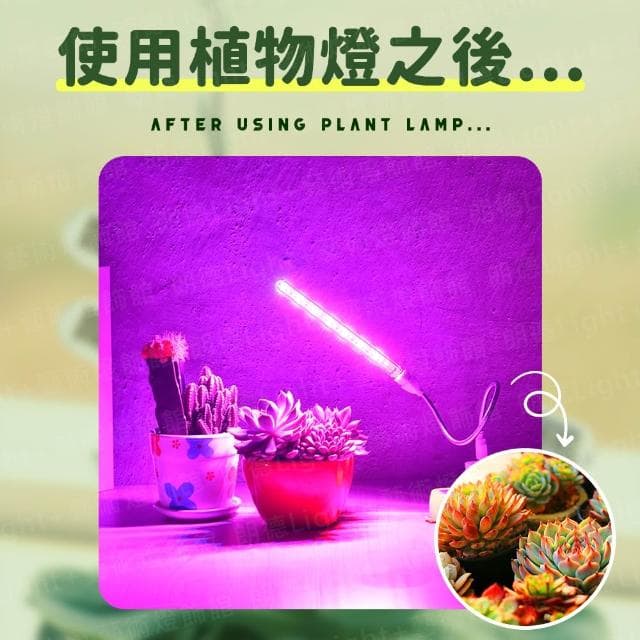 USB植物燈條 植物生長燈 植物日照燈 植物燈管 多肉燈 補光燈 夾燈 燈管 盆栽燈 紅藍燈 生長燈 水草燈