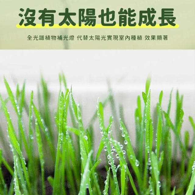 USB植物燈條 植物生長燈 植物日照燈 植物燈管 多肉燈 補光燈 夾燈 燈管 盆栽燈 紅藍燈 生長燈 水草燈