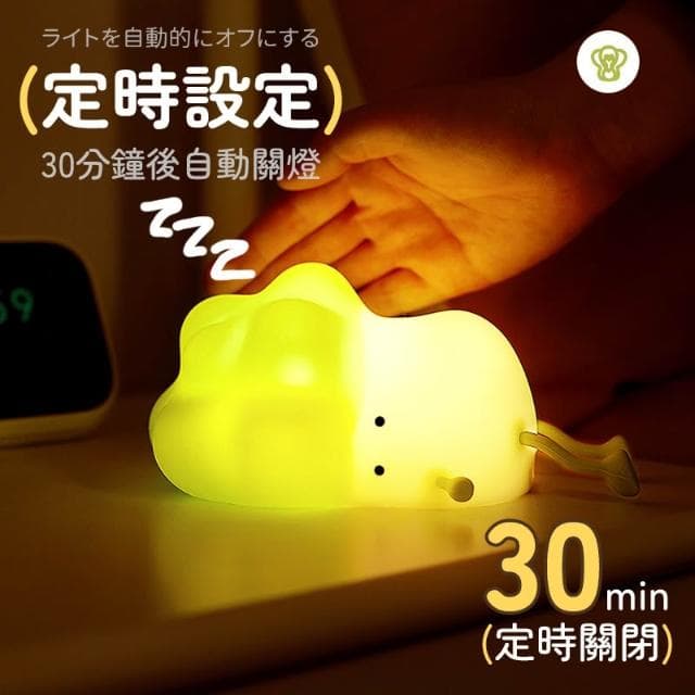 廢萌白菜夜燈 白菜矽膠小夜燈 矽膠 小夜燈 大白菜小夜燈 氛圍燈 兒童禮物 交換禮物 生日禮物 女友禮物 HW29