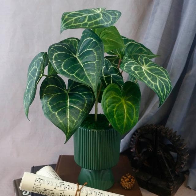 【HUGO DECO 榆果傢飾】高擬真水晶火燭葉盆栽(仿真植物/觀葉盆栽/人造植物/綠化/佈置)