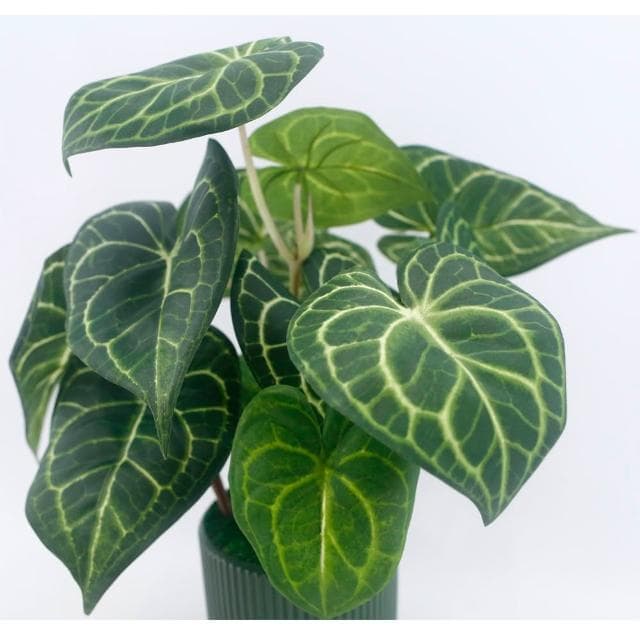 【HUGO DECO 榆果傢飾】高擬真水晶火燭葉盆栽(仿真植物/觀葉盆栽/人造植物/綠化/佈置)