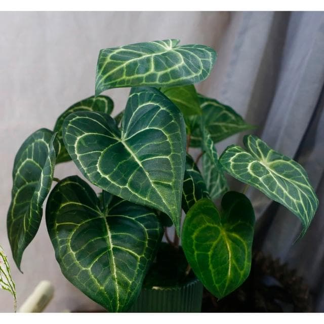 【HUGO DECO 榆果傢飾】高擬真水晶火燭葉盆栽(仿真植物/觀葉盆栽/人造植物/綠化/佈置)