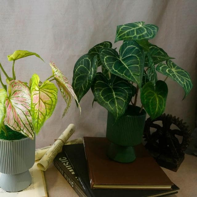 【HUGO DECO 榆果傢飾】高擬真水晶火燭葉盆栽(仿真植物/觀葉盆栽/人造植物/綠化/佈置)
