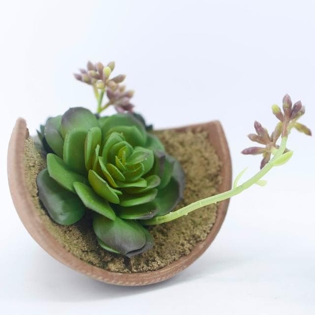 【HUGO DECO 榆果傢飾】陶盆多肉盆栽圓葉款(擬真植栽/多肉植物/居家佈置/節慶送禮)
