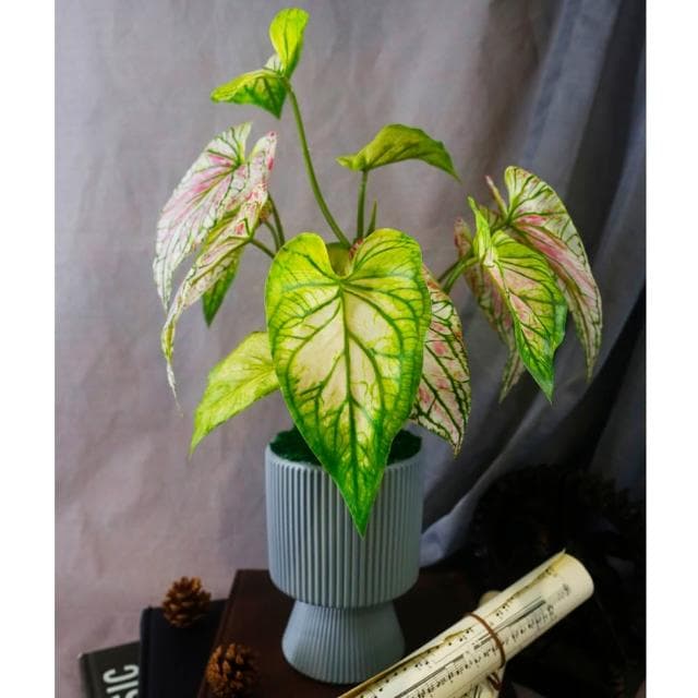 【HUGO DECO 榆果傢飾】高擬真彩芋葉盆栽(仿真植物/觀葉盆栽/人造植物/綠化/佈置)