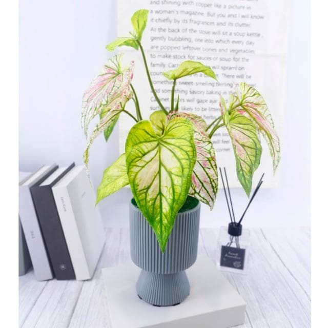 【HUGO DECO 榆果傢飾】高擬真彩芋葉盆栽(仿真植物/觀葉盆栽/人造植物/綠化/佈置)