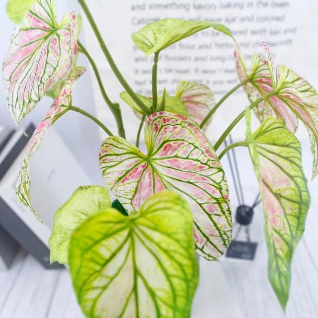 【HUGO DECO 榆果傢飾】高擬真彩芋葉盆栽(仿真植物/觀葉盆栽/人造植物/綠化/佈置)