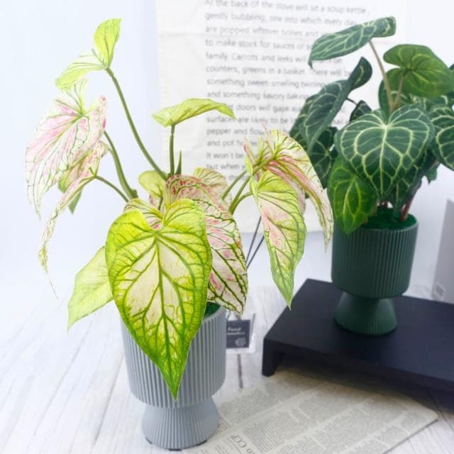 【HUGO DECO 榆果傢飾】高擬真彩芋葉盆栽(仿真植物/觀葉盆栽/人造植物/綠化/佈置)