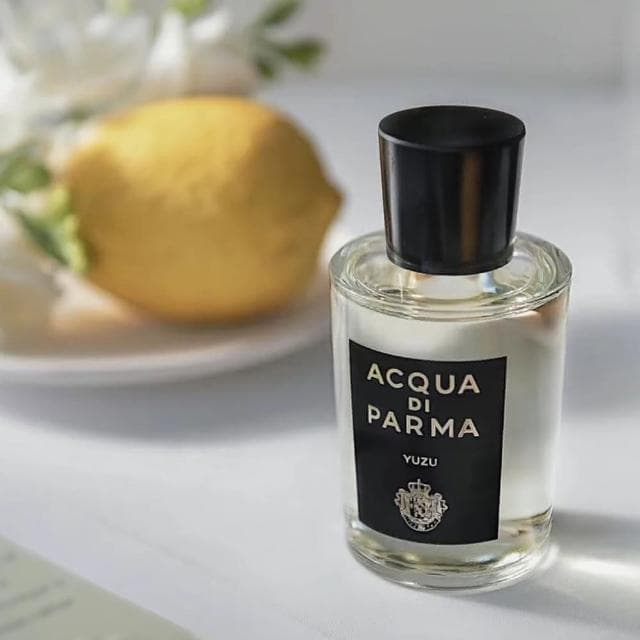 【Acqua Di Parma】帕爾瑪之水 格調系列 青柚淡香精 100ml(國際航空版) 送禮推薦 母親節禮物