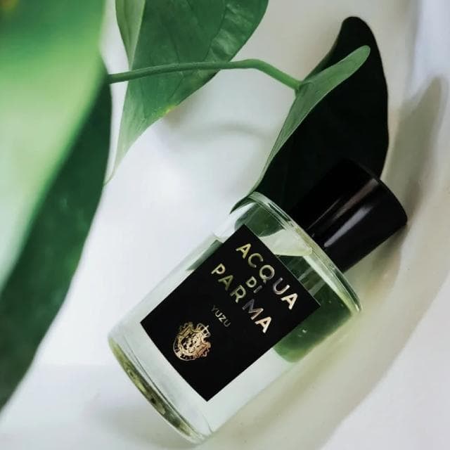【Acqua Di Parma】帕爾瑪之水 格調系列 青柚淡香精 100ml(國際航空版) 送禮推薦 母親節禮物