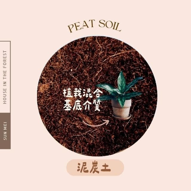 森美植所.泥炭土.栽培介質.培養土.觀葉植物基底介質.播種育苗.盆栽介質.園藝改土.DIY種植