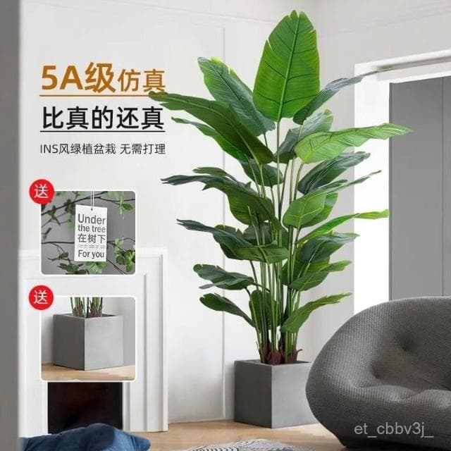 熱賣🔥天堂鳥仿真綠植高端輕奢仿生花客廳大型室內盆栽擺件裝飾樹假植物 居傢裝飾 仿真植物 人造樹 假樹 假植物