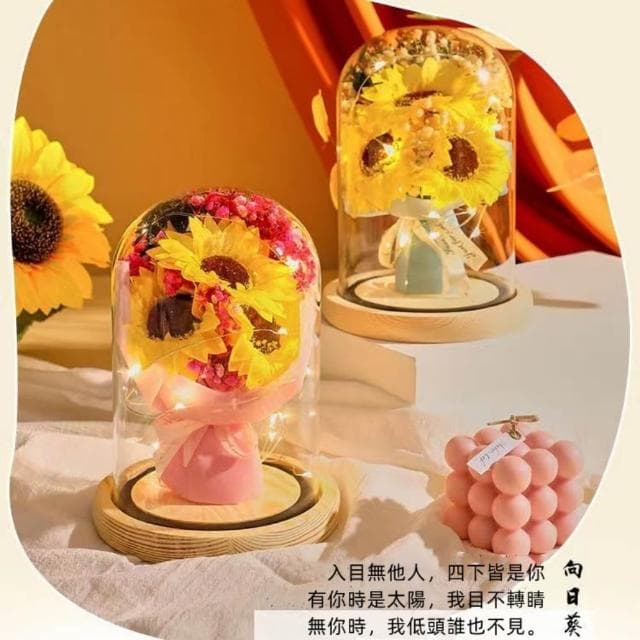 🌹台灣現貨🌹永生花玻璃罩 創意香皂花禮物 不凋花盅 公仔防塵罩 永生花 乾燥花 夜燈 真花 情人節 母親節 女友生日畢業