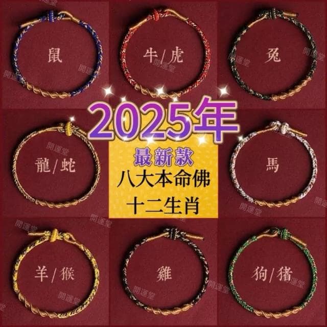 【開運堂】🔥現貨🔥紫南宮過爐十二生肖守護神本命年紅繩本命佛八大守護神 手工編繩手繩幸運紅繩 交換禮物