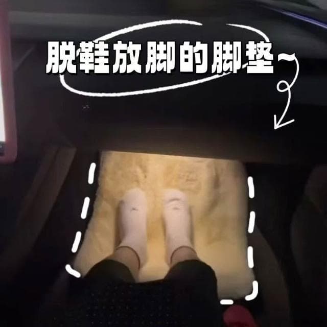 毛絨地墊 汽車地墊 汽車毛絨墊 副駕駛腳墊 墊子 女朋友專用毛絨地墊加厚汽車副駕駛腳墊女生送給女朋友的禮物實用