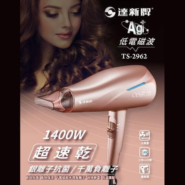 【達新牌】負離子吹風機 吹風機 大風量吹風機 美髮吹風機 沙龍吹風機 專業吹風機 TS-2962 (速達)