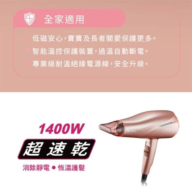 【達新牌】負離子吹風機 吹風機 大風量吹風機 美髮吹風機 沙龍吹風機 專業吹風機 TS-2962 (速達)