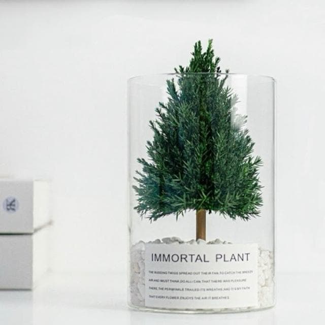 「放青松」擺飾真正的永生植物辦公室擺飾桌面擺飾同事禮物祝福禮物母親節禮物搞笑禮物生日禮物送禮