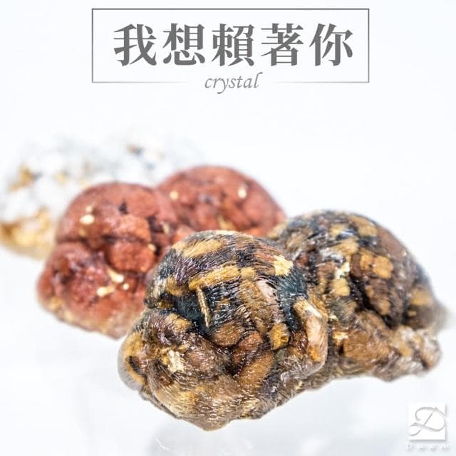 【Dawn Fashion 彤恩時尚】天然水晶 招財 法鬥幼犬 //虎眼石 太陽石 白松石/生日禮物/父親節禮物