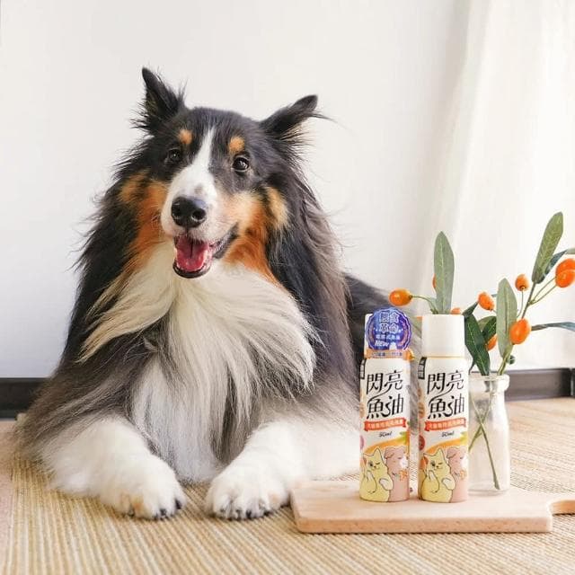 【怪獸部落】litomon 閃亮魚油 50ml(寵物保養品 犬貓保養品)